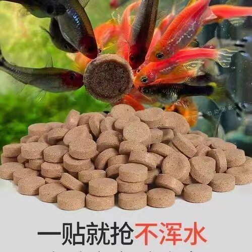 贴片鱼食小型鱼饲料孔雀鱼鱼粮灯鱼斗鱼金鱼热带鱼通用红虫丰年虾