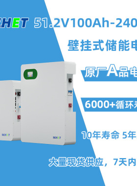 源头工厂51.2V200Ah壁挂储能电池10kwh10度 备电应急铁锂家庭储能
