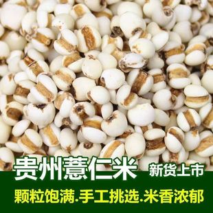 新货薏米仁正宗新鲜小薏仁米500g五谷杂粮薏苡仁薏米颗粒饱满细腻