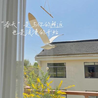 会飞的海鸥吊饰儿童房名宿酒店北欧风创意木制天花板装饰房间木艺