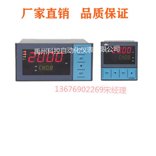 DY21DB/DY22DB/DY29DB数显表巡检仪东辉仪表