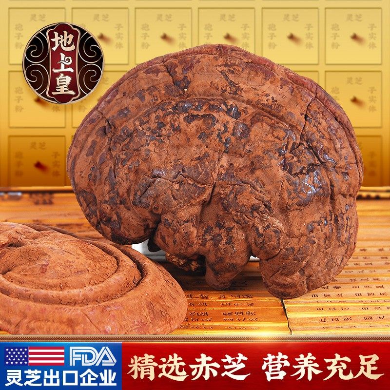 道地灵芝野生正品整枝中科院泰山赤灵芝草黑灵芝切片五色灵芝茶