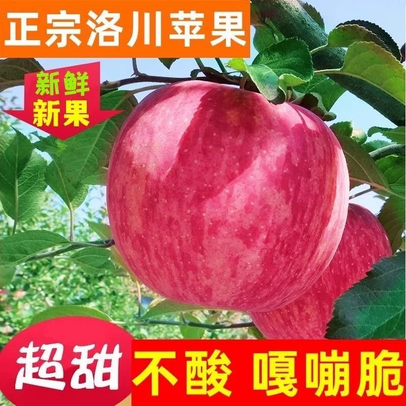 当季鲜果苹果脆甜多汁12颗装