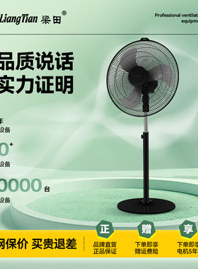 梁田电风扇落地扇家用立式宿舍办公室机械风扇FT-45F3 黑色