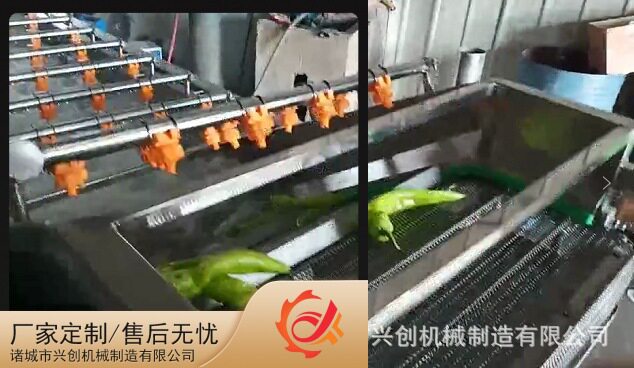 红枣清洗机新疆红枣清洗设备气泡清洗设备冬枣清洗设备鲜枣
