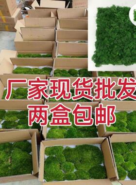 白发苔青苔假苔大灰苔植物背景墙仿真草皮墙永生苔仿真草皮