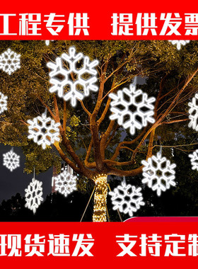 雪花片发光造型灯户外防水工程亮化装饰挂树上的彩灯挂灯树灯新。
