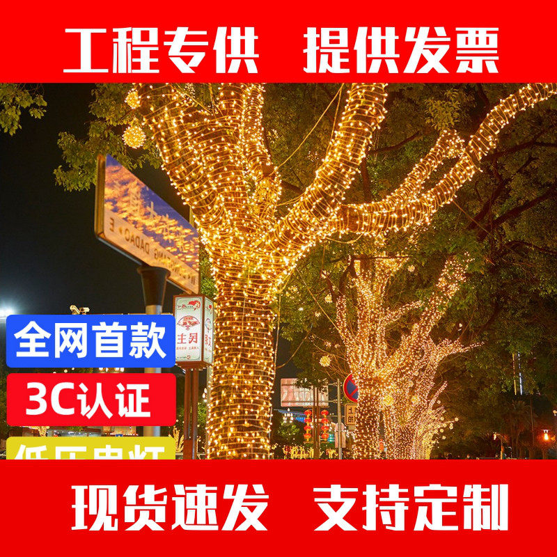 24V低压彩灯满天星LED灯串户外庭院装饰亮化树灯景观灯绕树缠树灯