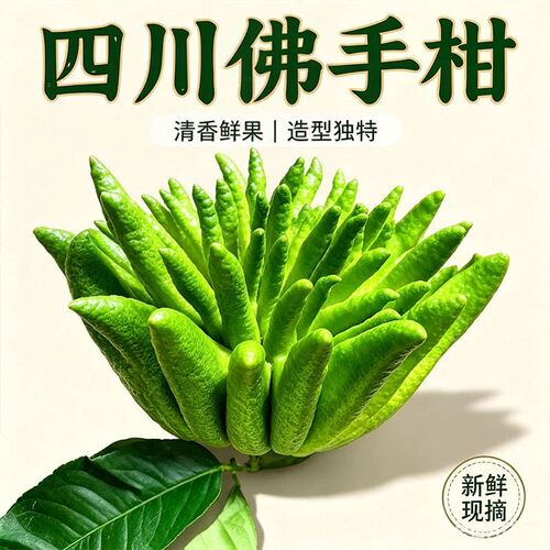 四川鲜佛手柑大果清供闻香摆件