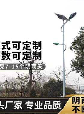 太阳能路灯6米高杆户外灯庭院灯锂电感应60W工程新农村led路灯厂