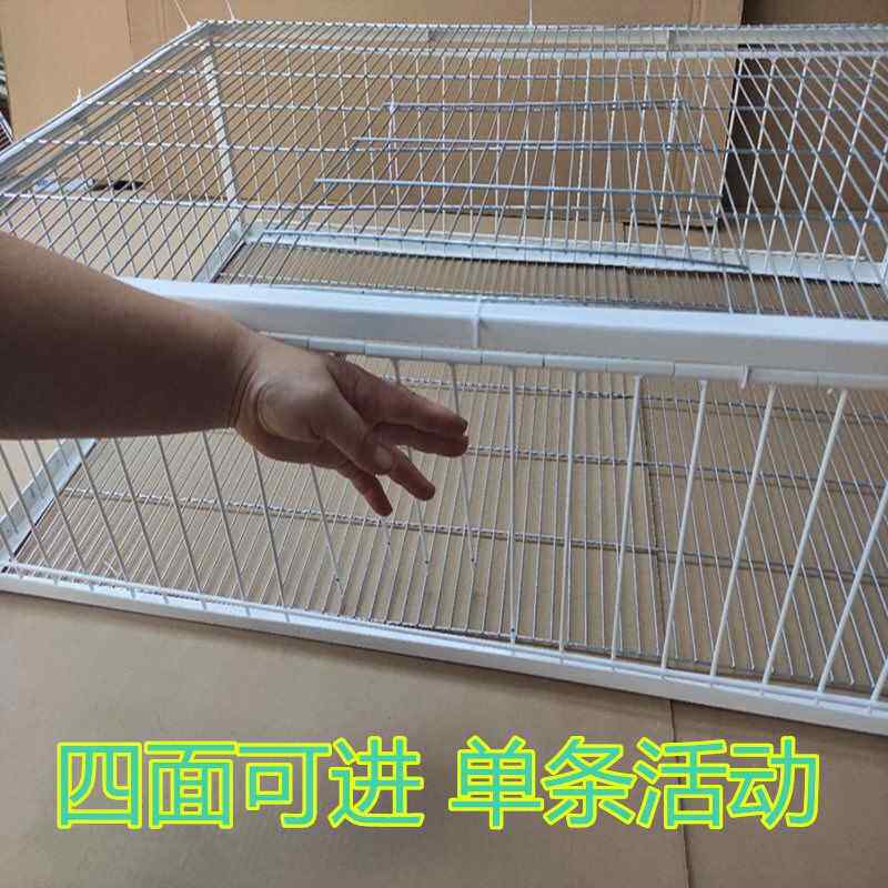 抓鸽子的捕地网天落笼四面撞门只进不出诱捕野外神器捕养鸽笼鸟笼
