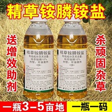 高含量精草铵膦铵盐正品除草剂荒地果园草铵磷草甘膦除草烂根剂