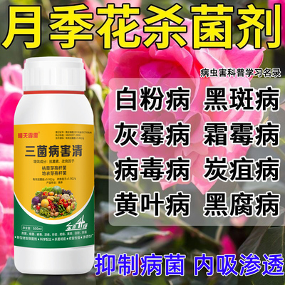 月季杀菌药月季黄叶黑斑病叶斑白粉病病毒病玫瑰月季花卉杀菌剂