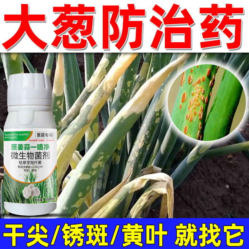 大葱防治药大葱猛长大葱杀菌剂大葱韭菜大蒜黄叶干尖锈病软腐病