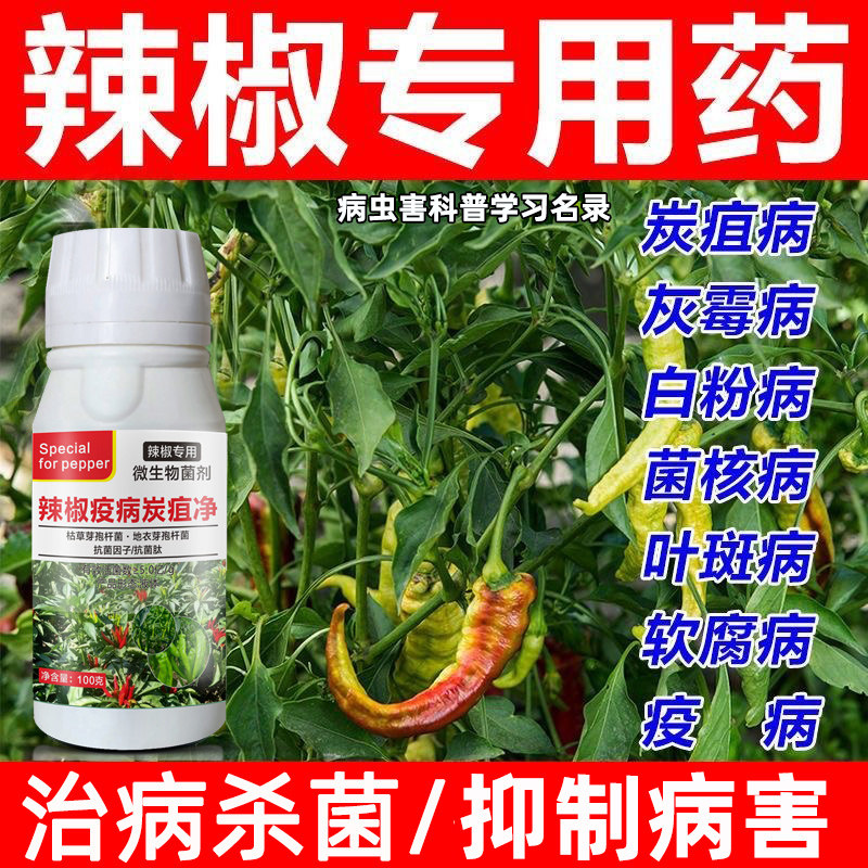 辣椒病毒病专治辣椒杀菌剂辣椒卷叶花叶疫病病毒病炭疽病灰霉病