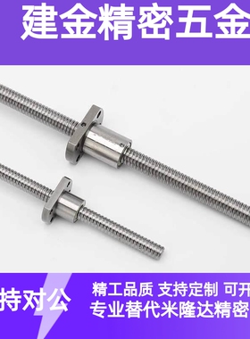 BSWE1210 1516 1605 1610 2005 2505 3205 3210 2010定制 滚珠丝