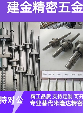 BSBR/BSBRK滚珠丝杆螺母套装1505 1510 2005 2010 2505 2510丝杠