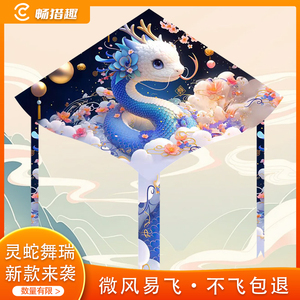 潍坊风筝2025年新款中国风蛇年卡通大人网红高档小孩子玩具易飞
