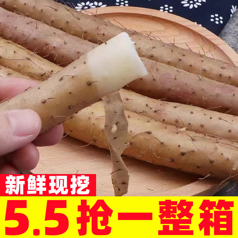 小白嘴山药5斤当季农家铁杆淮山药新鲜现挖铁棍山药蔬菜包邮