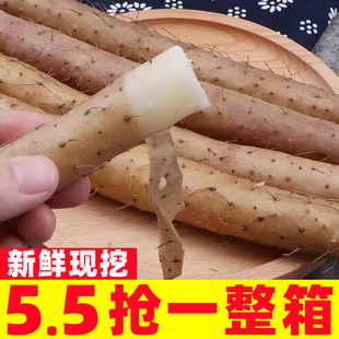 小白嘴山药5斤当季农家铁杆淮山药新鲜现挖铁棍山药蔬菜包邮