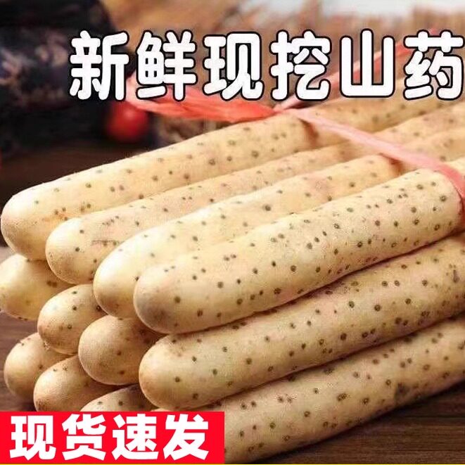 正宗河南焦作温县铁棍山药5斤怀山药现挖新鲜垆土铁柜山药淮山药