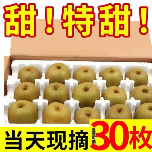 四川红心猕猴桃奇异果新鲜