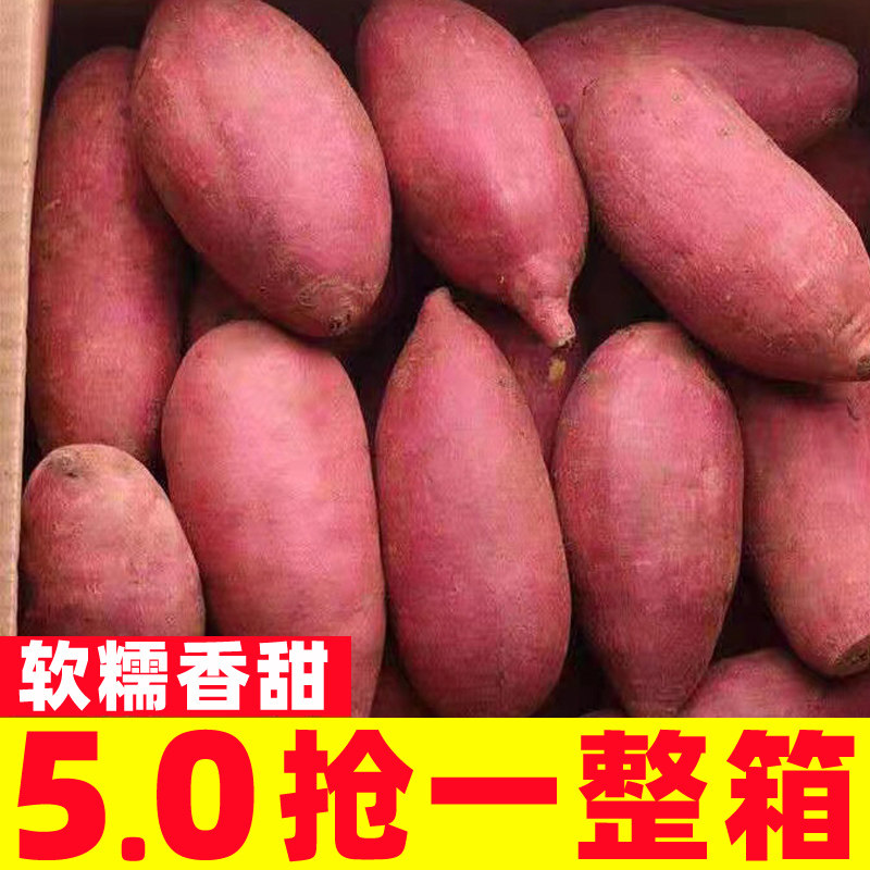 新鲜蜜薯板栗红薯沙地糖心