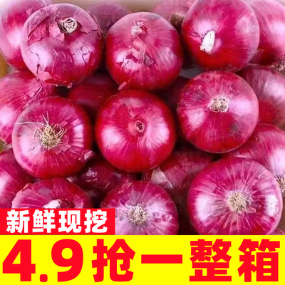 当季新摘新鲜蔬菜高山