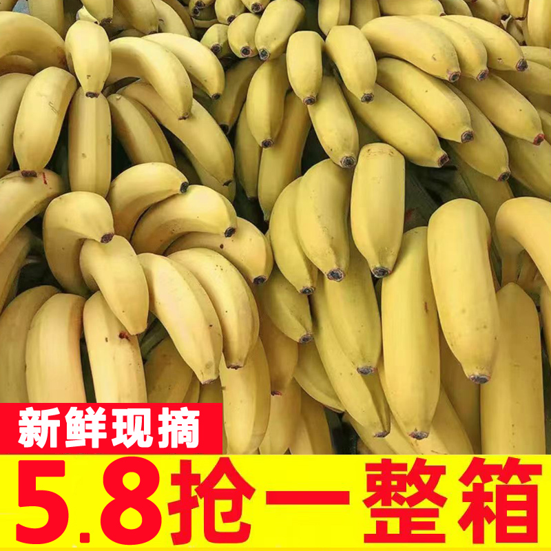 高山甜香蕉新鲜9斤水果当季