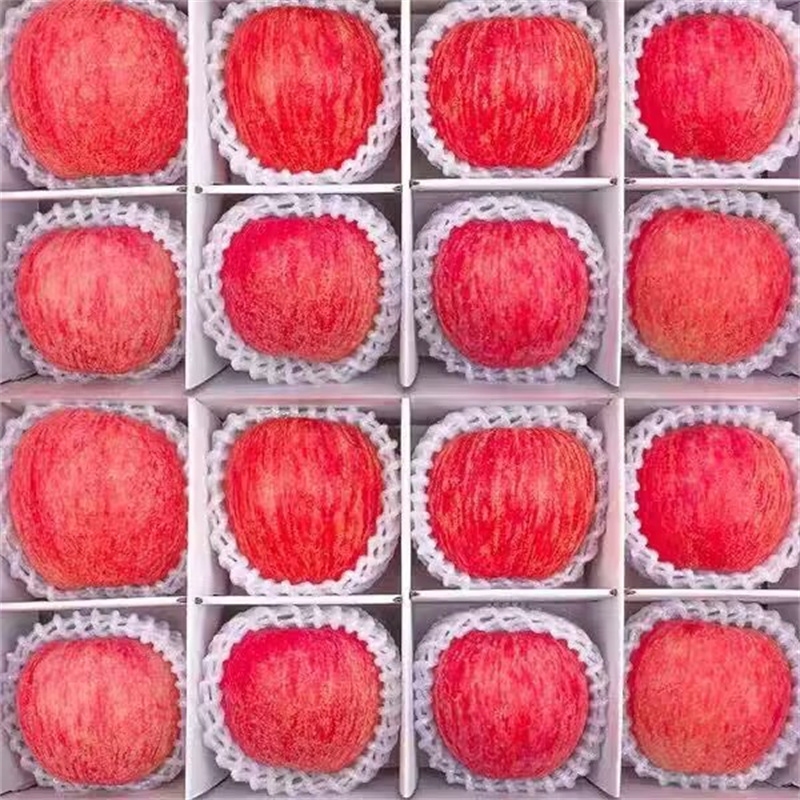 山东红富士苹果水果新鲜