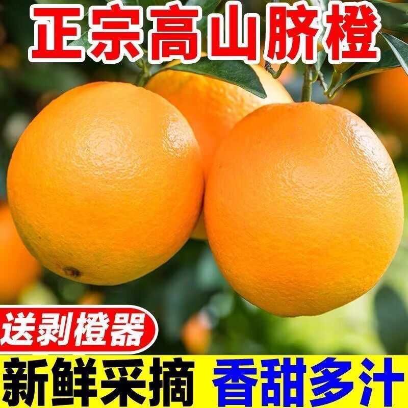 正宗江西赣州赣南的脐橙
