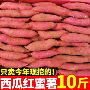 农家烟薯25号蜜薯糖心红薯新鲜农家自种红心番薯板栗烤地瓜