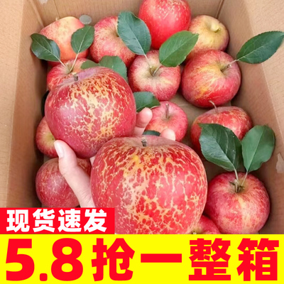 四川大凉山盐源丑苹果冰糖心