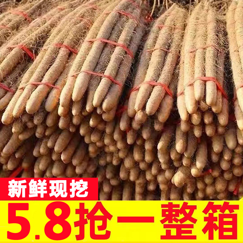 温县铁棍山药新鲜正宗河南焦作垆土怀山药蔬菜铁杆铁棒淮山药5斤