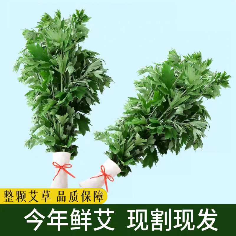艾草驱蚊驱虫基地直供