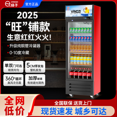 扬子单门啤酒饮料展示柜冷藏超市冰柜商用冰箱立式保鲜冷柜双门