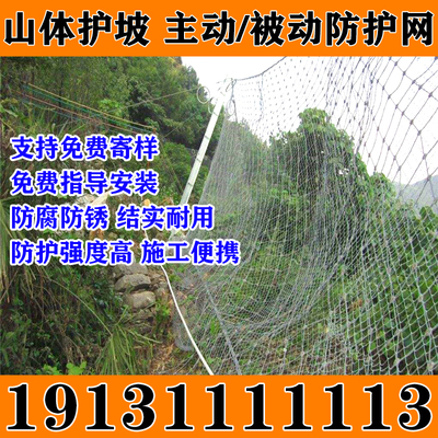 星鸿主动防护网被动环形防护网
