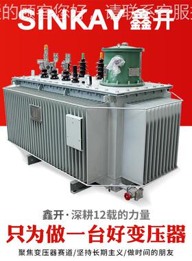 as11-2三503kv400kw千瓦10kvS11油浸80伏油浸式电力升高压大功率