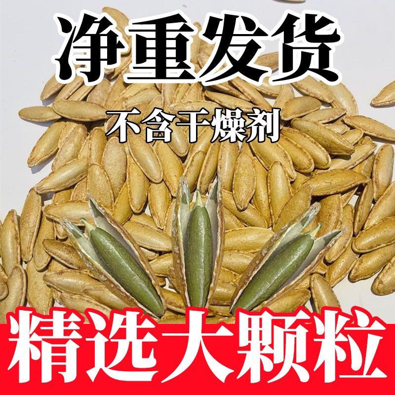 2斤净重】美人甲南瓜子长粒原味椒盐南瓜籽解馋零食炒货坚果零食