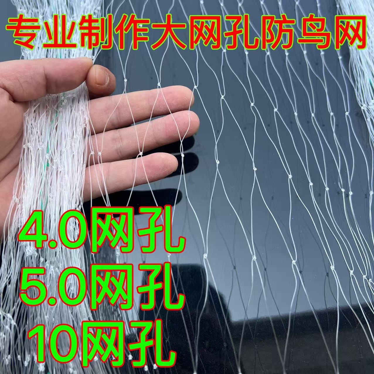 防鸟网草莓大棚果树樱桃葡萄梨树果园防鸟用网尼龙养殖网鱼塘天网