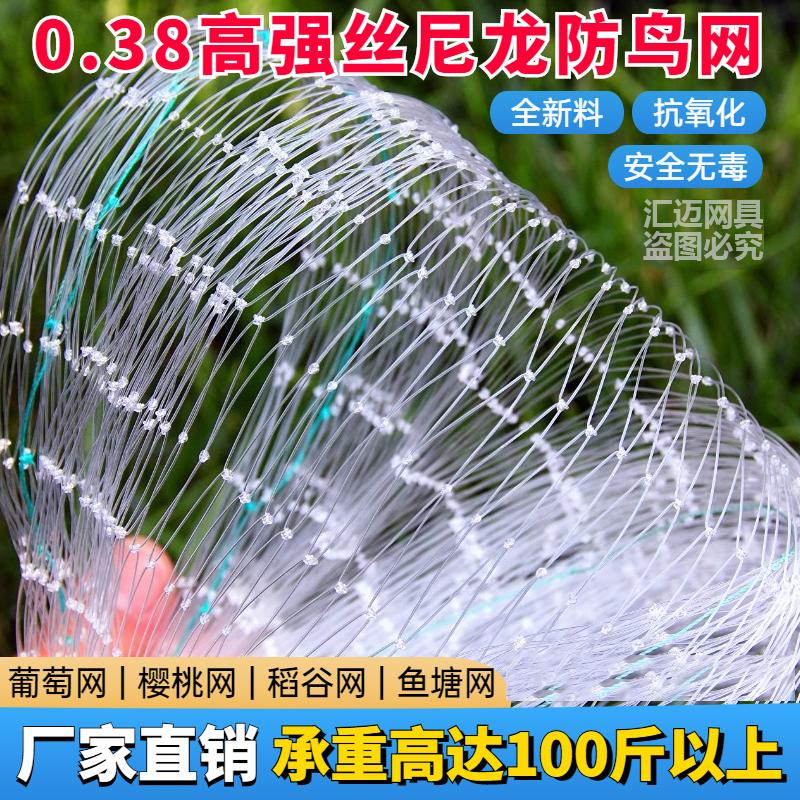 防鸟网樱桃葡萄草莓大棚梨树果园果树防鸟用网尼龙养殖网鱼塘天网
