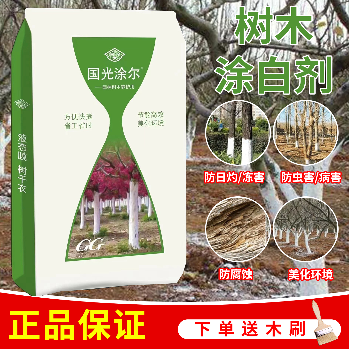 树干涂白剂刷白果树绿化防虫防冻