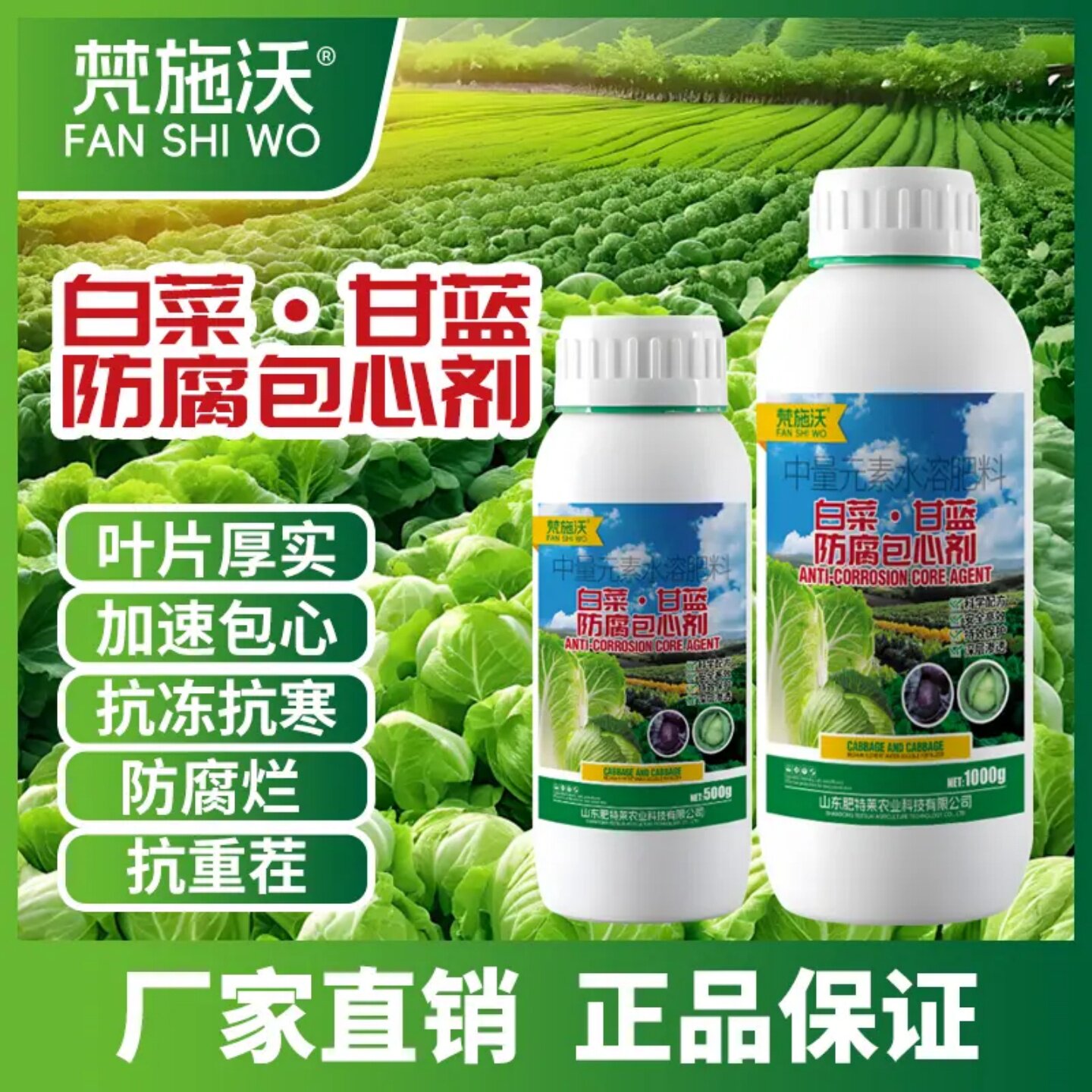 梵施沃白菜甘蓝防腐包心剂专用叶面肥叶片厚实加速包心抗冻抗寒
