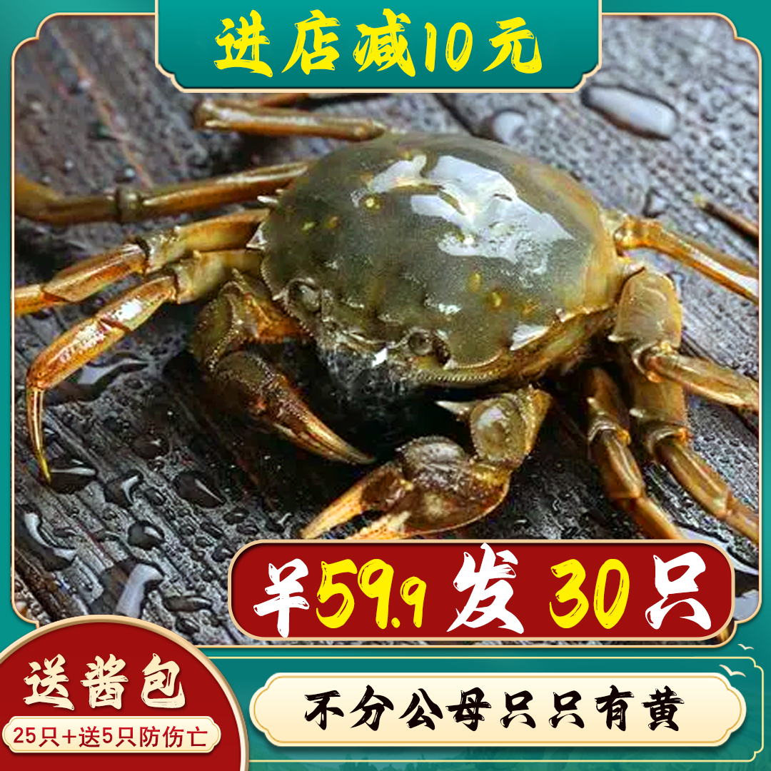 六月黄30只公母满黄小螃蟹二元蟹鲜活大闸蟹毛蟹稻田蟹河蟹醉蟹