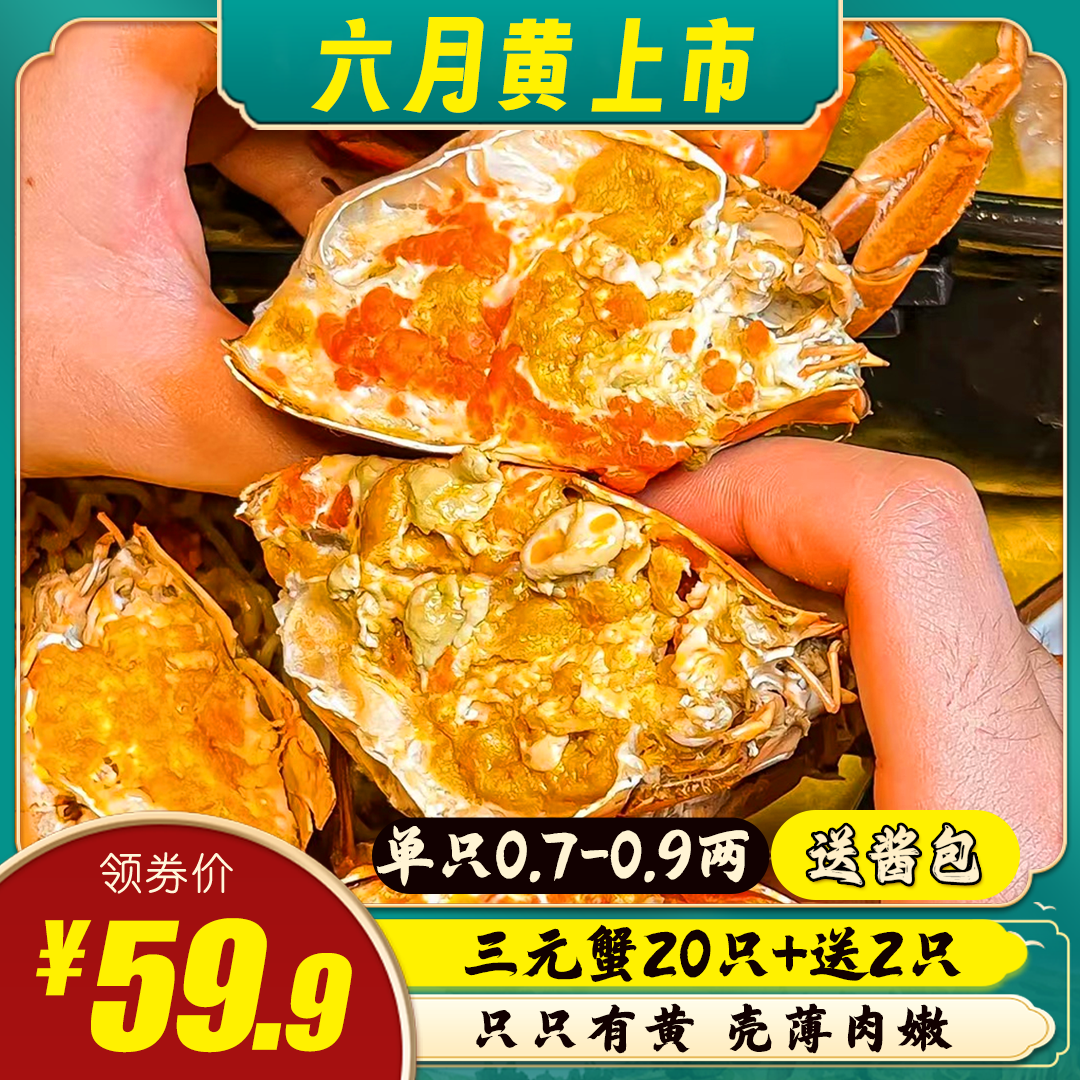 满黄三元蟹公母小螃蟹鲜活大闸蟹稻田毛蟹六月黄河蟹水产顺丰