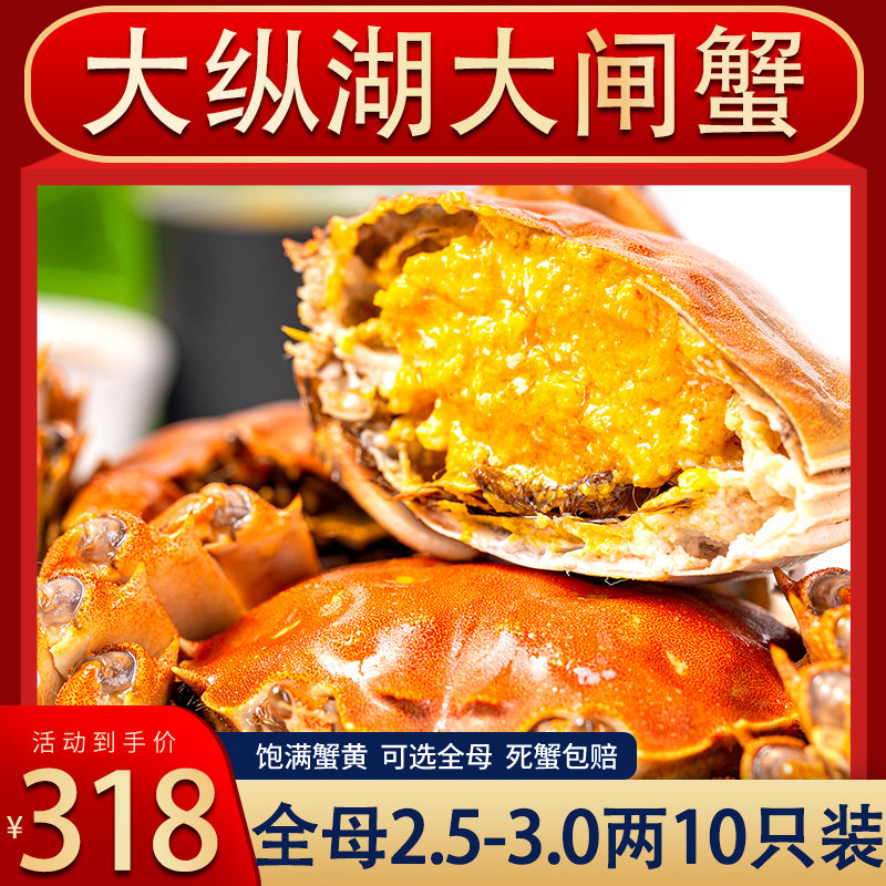 大纵湖大闸蟹爆黄满膏