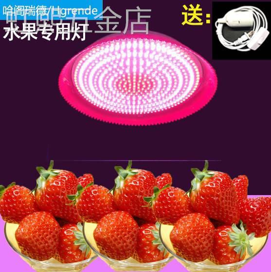 LED生鲜灯猪肉灯卖肉照肉灯海鲜灯蔬菜水果灯专用卤菜熟食灯吊灯
