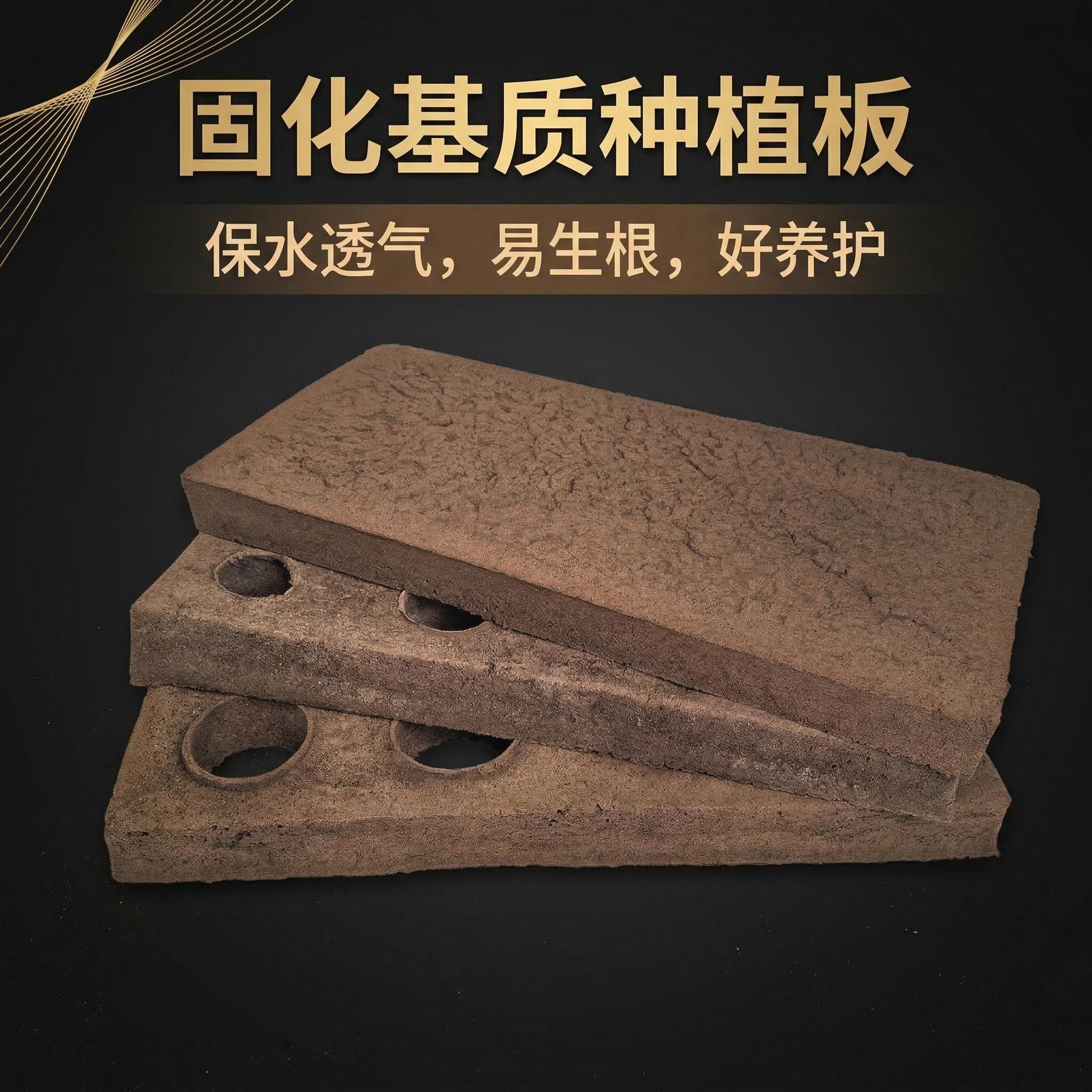 金椤树轻质固化基质种植板易生根