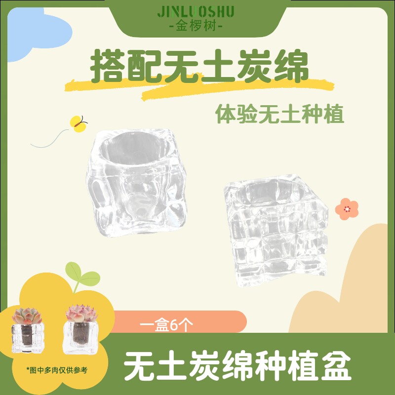 金椤树无土栽培种植花盆套装