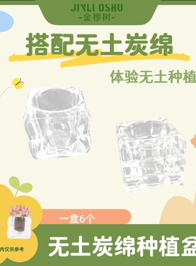 金椤树无土栽培种植花盆套装